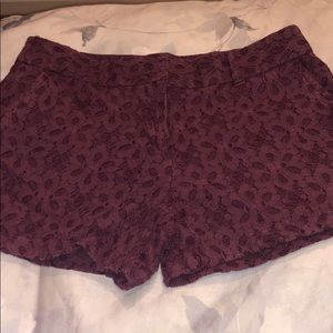 Ann Taylor Loft shorts
